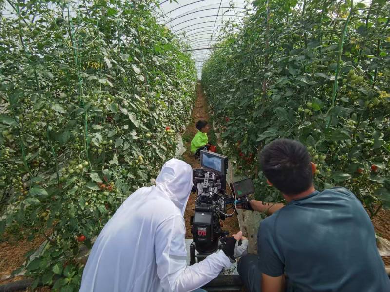 凤翔县产品宣传视频拍摄公司进阶指南，助力品牌抢占传播高地